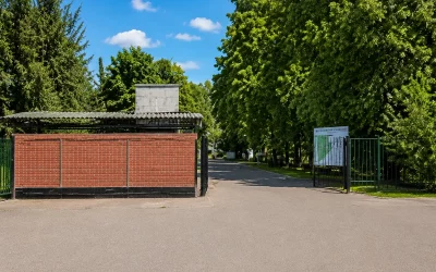 Громовское кладбище Громовское кладбище